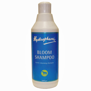 Bloom Shampoo 500ml