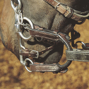 Pelham Roundings - Hook Stud Fastening
